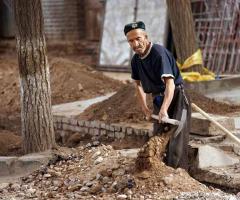 Uyghur People Working
